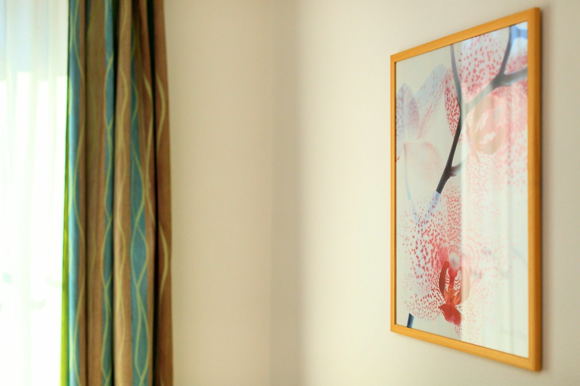 Penzion Krumlov - Massage Studio Český Krumlov Eksteriør billede