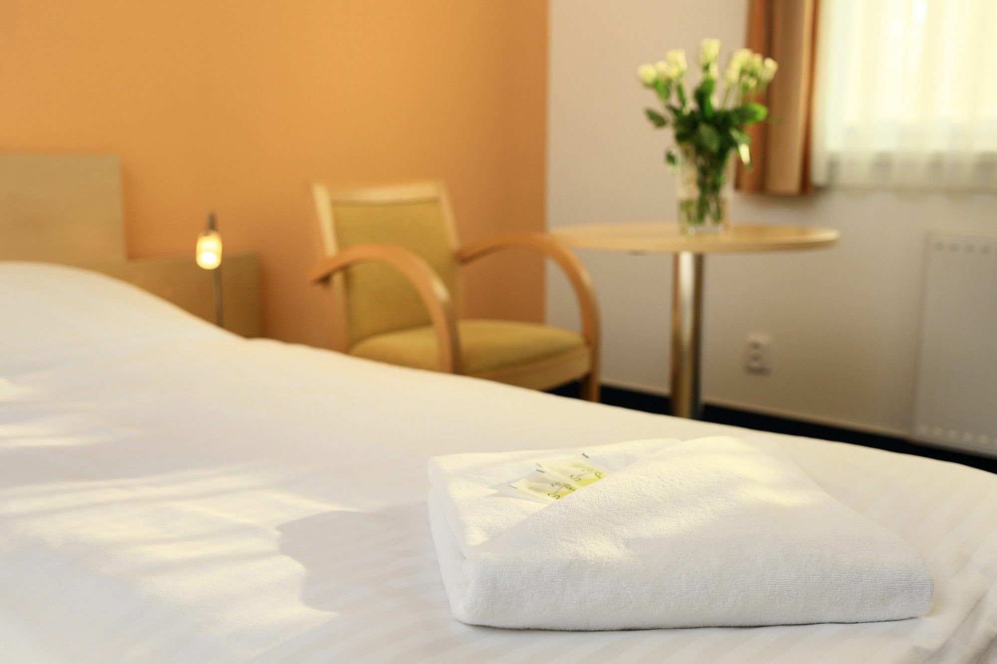 Penzion Krumlov - Massage Studio Český Krumlov Eksteriør billede