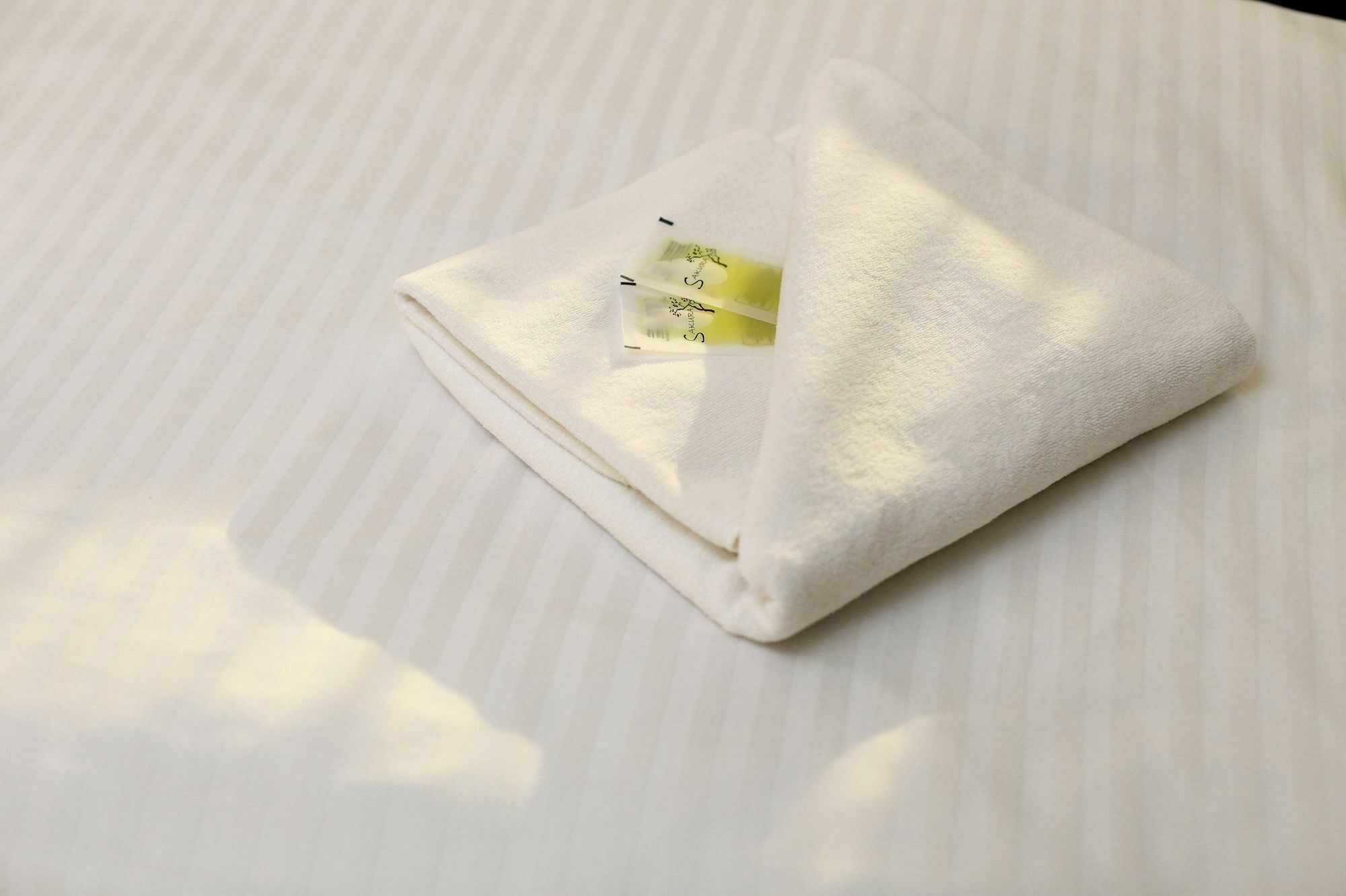 Penzion Krumlov - Massage Studio Český Krumlov Eksteriør billede